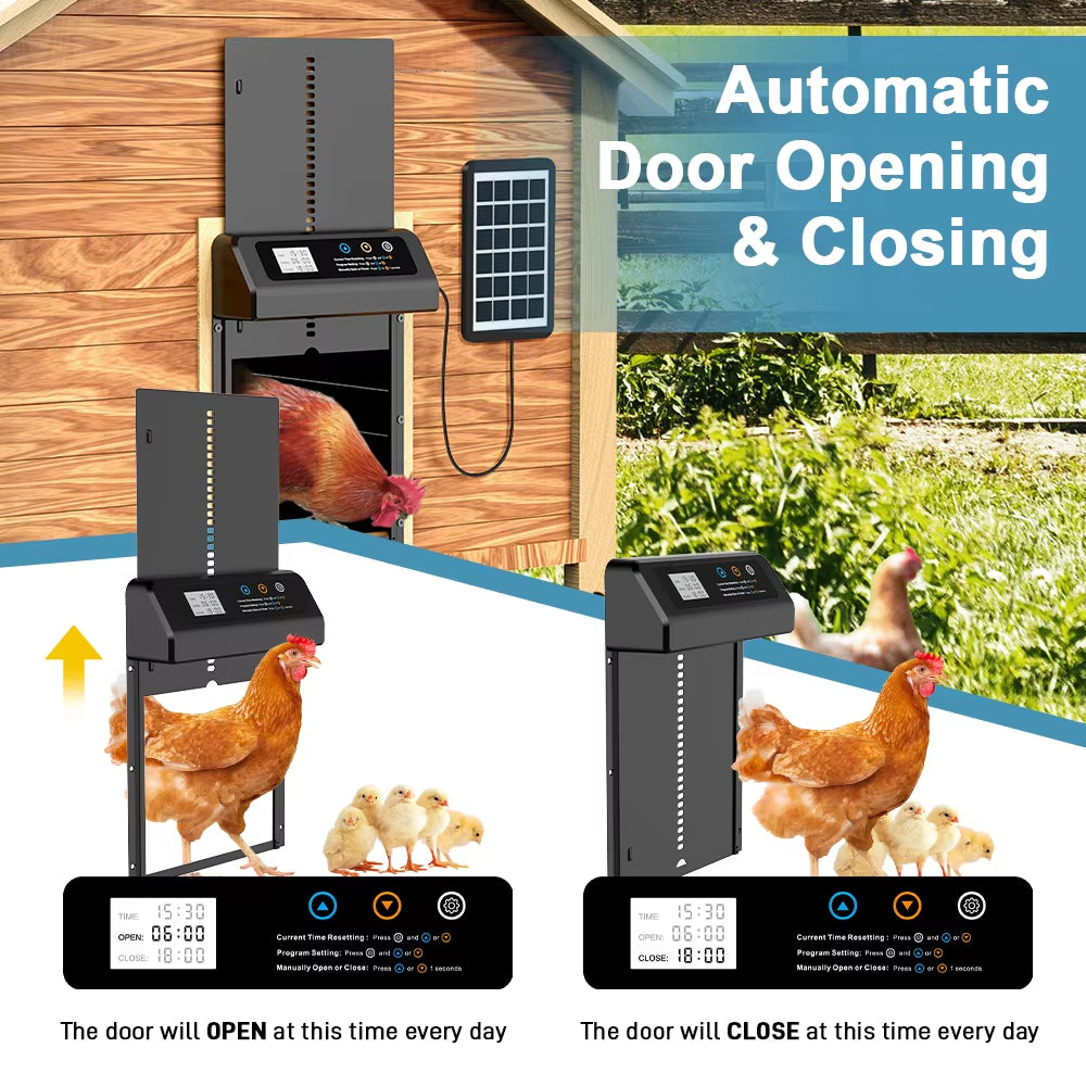 Solar Automatic Chicken Coop Door — Auto Timer, Anti-Pinch Safety, Stainless Steel, Electric Lift Door for Poultry & Pets