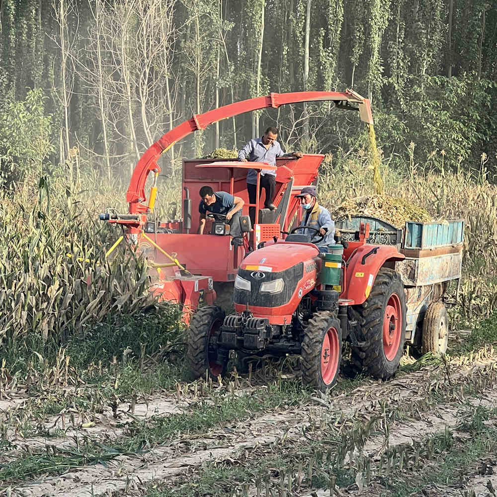9QS1600 2-Row Corn Combine Harvester | 102kW Wheeled Corn Harvester with 1600mm Working Width