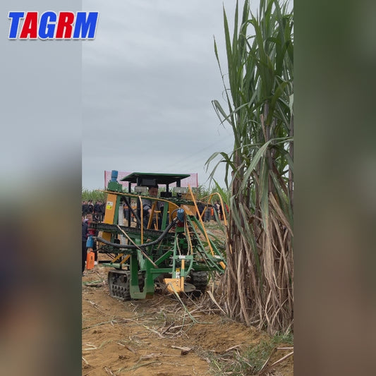 4GP-1 Simple Sugarcane Harvester