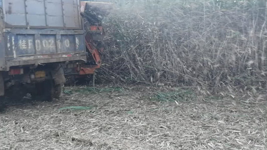 4GZQ-180 Sugarcane Combine Harvester（Elevator type）/sugarcane harvester supplier/sugarcane harvester manufacturer