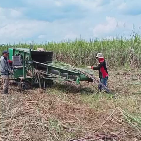 6CZ-5 Sugarcane Leaf Peeler/farm sugarcane leaf peeler/efficient sugarcane leaf stripper