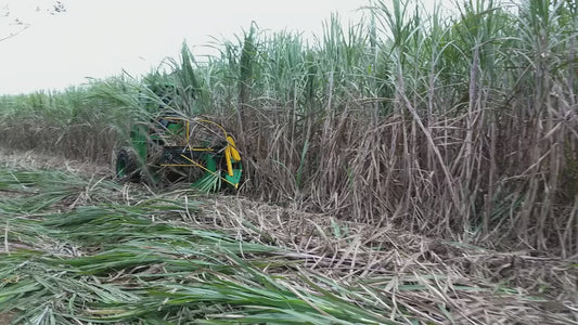 SH15 Sugarcane Cutter Machine Sugarcane Harvester/sugarcane harvester supplier/sugarcane harvester manufacturer