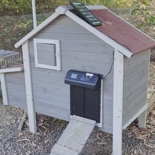 Solar Automatic Chicken Coop Door — Auto Timer, Anti-Pinch Safety, Stainless Steel, Electric Lift Door for Poultry & Pets
